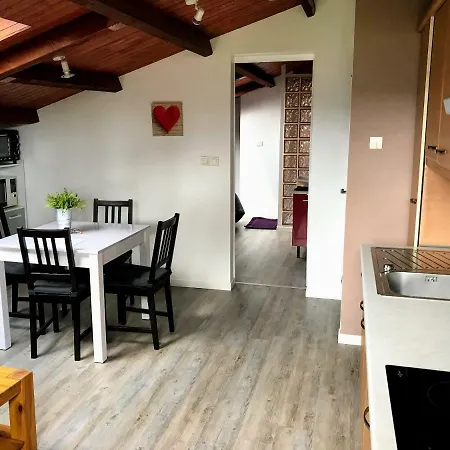 Apartment De Larmonys *